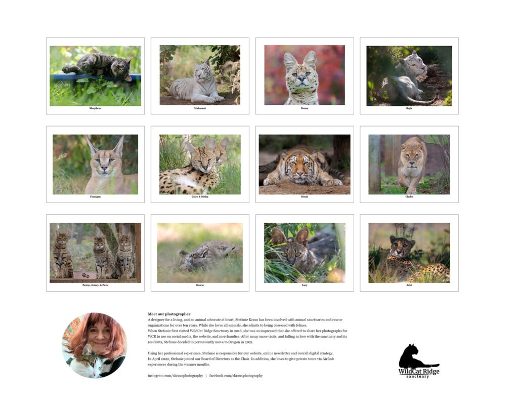 WildCat Ridge Sanctuary 2025 calendar back WildCat Ridge Sanctuary 2025 calendar back