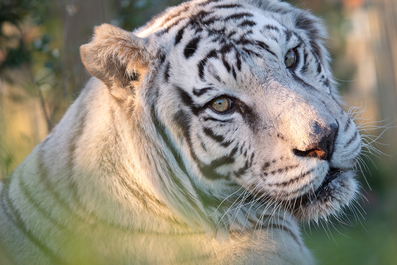 Beautiful eyes