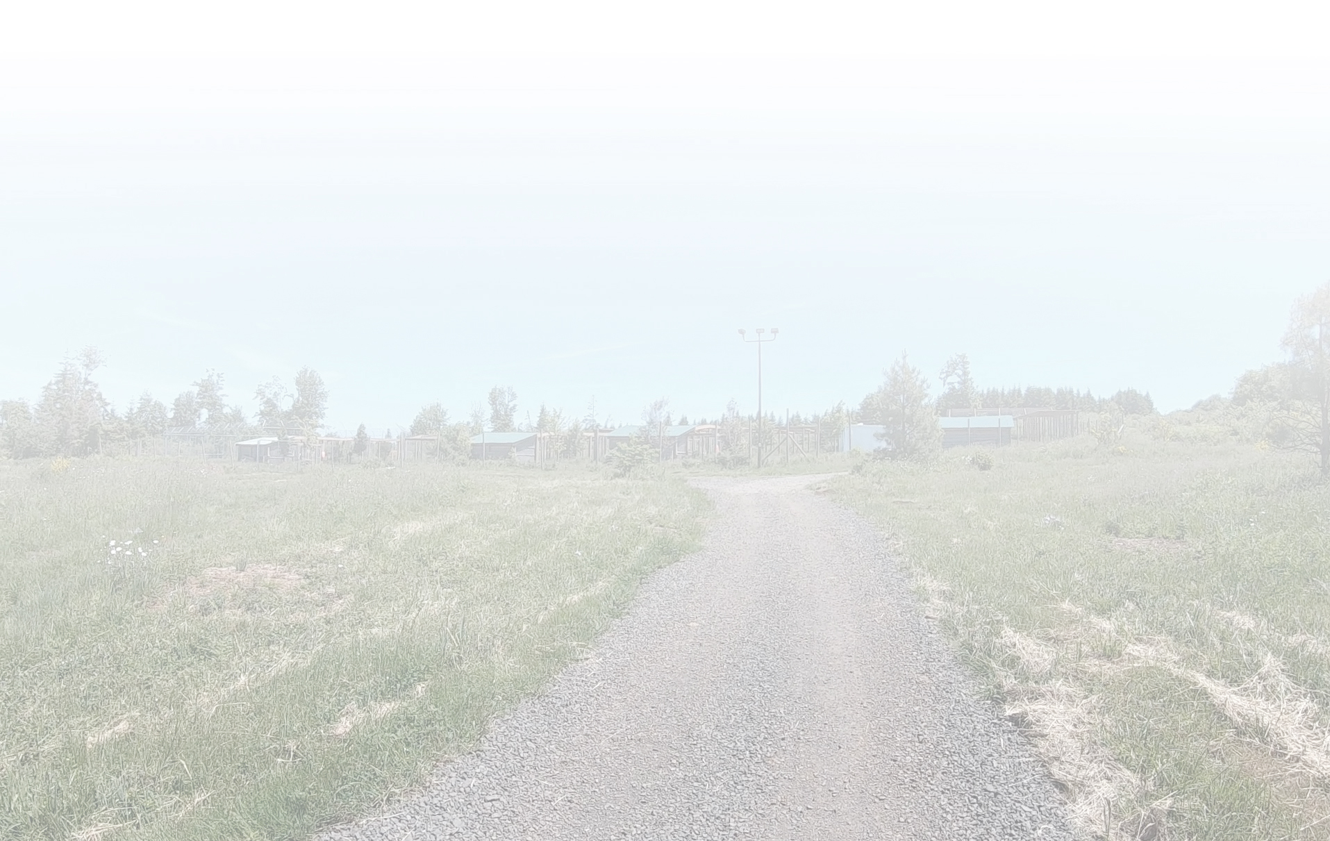 Sanctuary